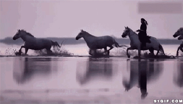 干马过河动态图片:骑马,骏马,跑马