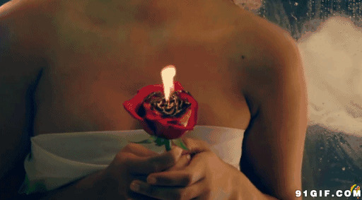 点燃的玫瑰花图片:玫瑰