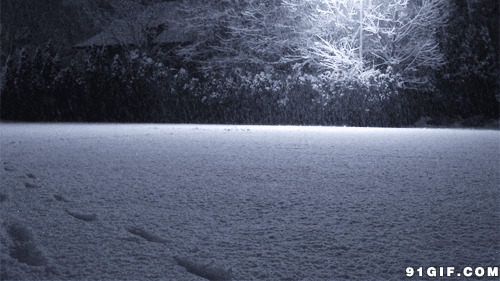 灯光下的大雪图片:大雪,下雪