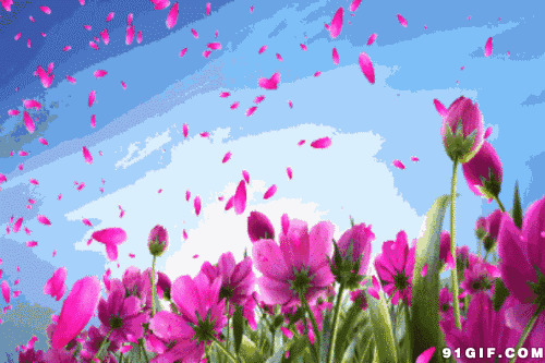 鲜花满园花瓣飘舞动画图片