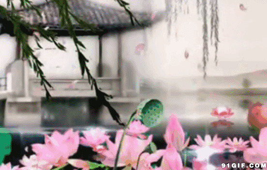 垂柳荷塘水墨画唯美图片:荷塘,唯美,荷花
