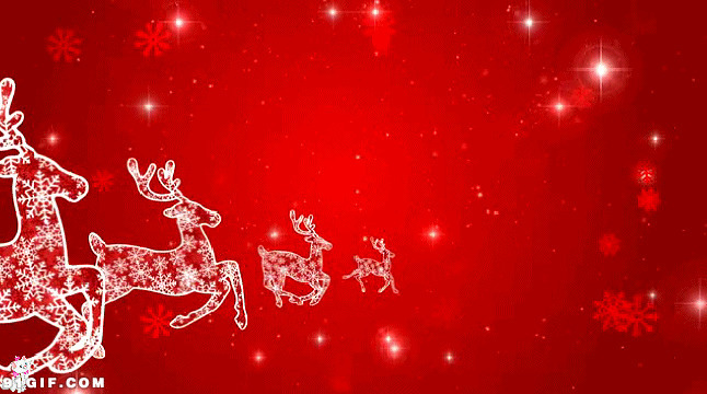 梅花鹿奔跑迎圣诞图片:圣诞节