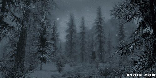 寒冬山林飘雪图片:飘雪,冬天,下雪