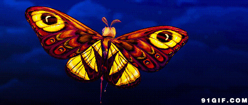 跳舞的五彩蝴蝶动画图片:跳舞,蝴蝶
