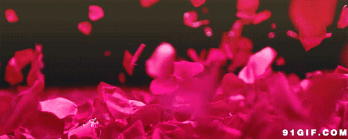 纷飞的红色花瓣唯美图片