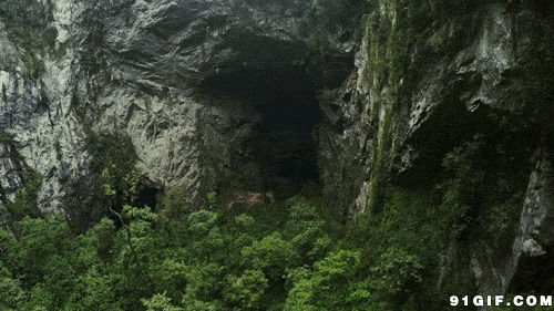 茂密森林神秘山洞图片