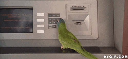 鹦鹉点击提款机密码搞笑图片:鹦鹉,搞笑