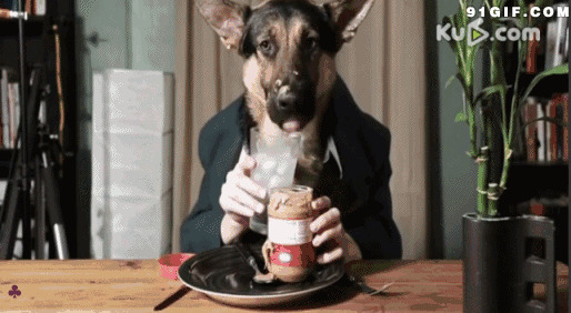 穿西装喝饮料的狗狗搞笑图片:狗狗,搞笑