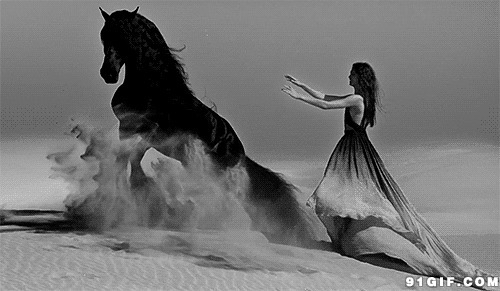 汗血宝马沙漠图片:奔马,跑马