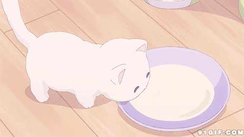 小猫盘中喝水动漫图片