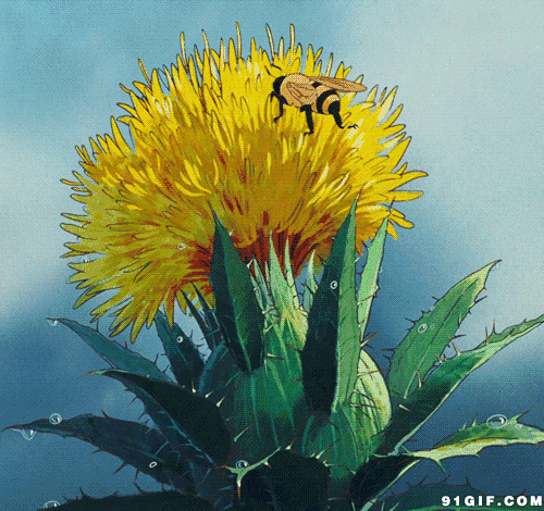 花中采蜜的蜜蜂动漫图片