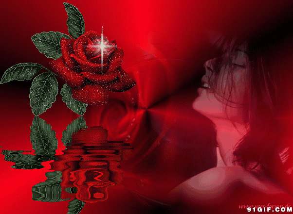 令人陶醉的闪亮玫瑰花动画图片:玫瑰花,陶醉