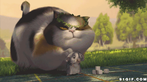 大胖猫爱抚小老鼠动画图片:猫猫,老鼠