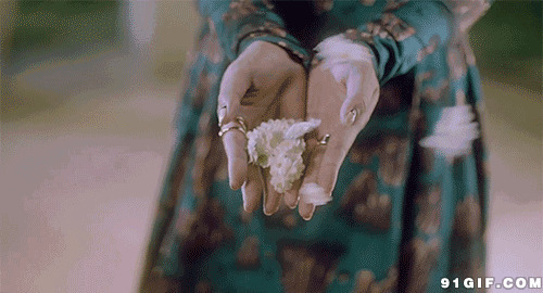 手中吹落的白色菊花图片