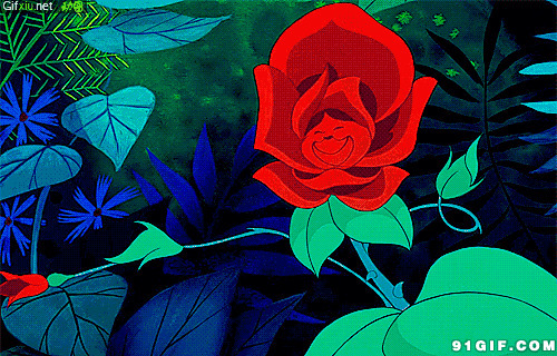 卡通鲜花视频图片:卡通,鲜花,玫瑰