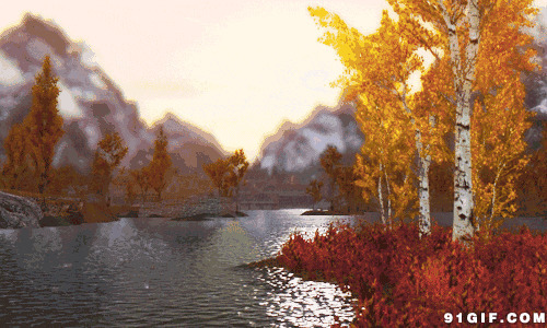 湖水泛涟漪树叶飘摇美景图片