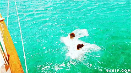 双人疯狂跳水动态图片:跳水