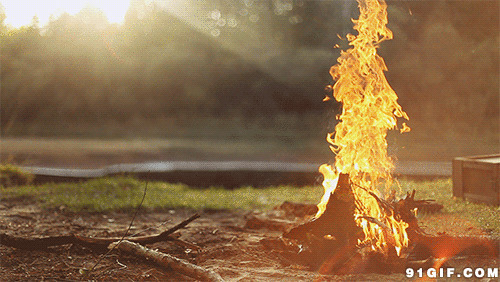草原篝火图片:火焰,篝火