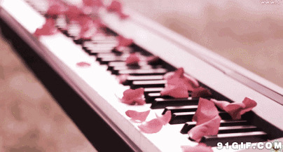 粉色花瓣掉落钢琴唯美图片