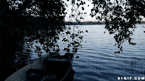 小木舟停靠幽静湖边风景图片