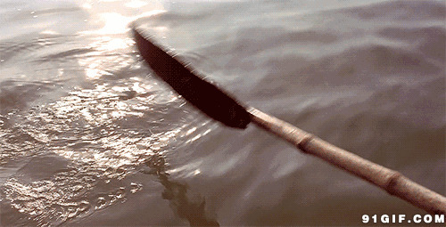 船桨划水视频图片