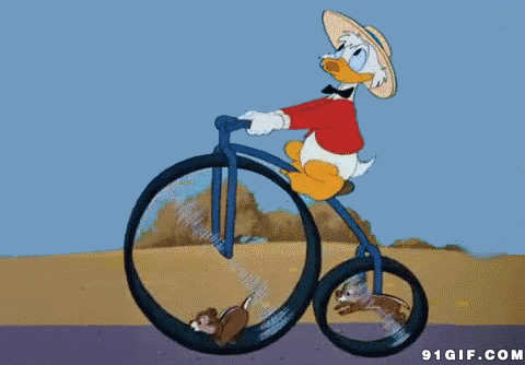 唐老鸭骑单车卡通图片:唐老鸭,骑车