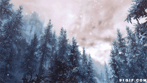 森林下雪动态图片:森林,下雪,唯美