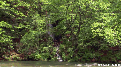 茂密山林小溪流水图片