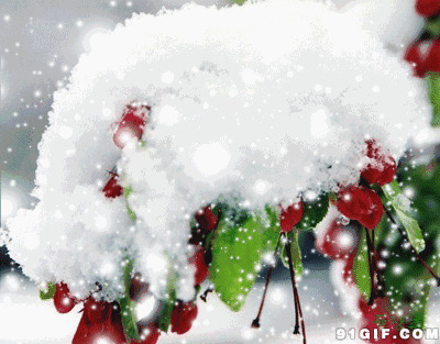翠绿果树挂满雪花唯美图片