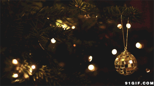 树上闪亮的灯光图片:闪亮,灯光,装饰灯