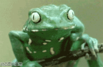 卡通小青蛙头饰图片:青蛙,