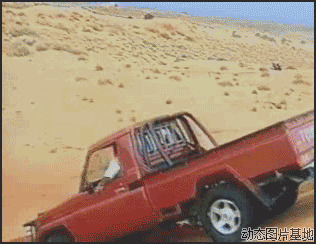 沙漠动态图片:沙漠,牛车