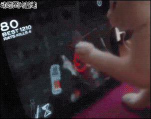 晴天小猫游戏图片:搞笑,小猫,游戏