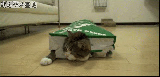 如何用纸箱做猫窝图片