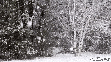 动态雪花飘落背景图片:雪,唯美,黑白,梦幻,风景,   