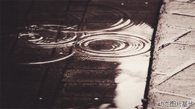 雨水壁纸图片