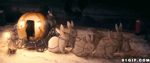 一百只兔子拉车图片:兔子,拉车,