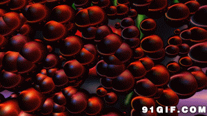 显微镜下血细胞图片