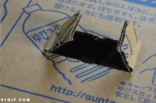 东白猫搞笑视频图片:小白猫,
