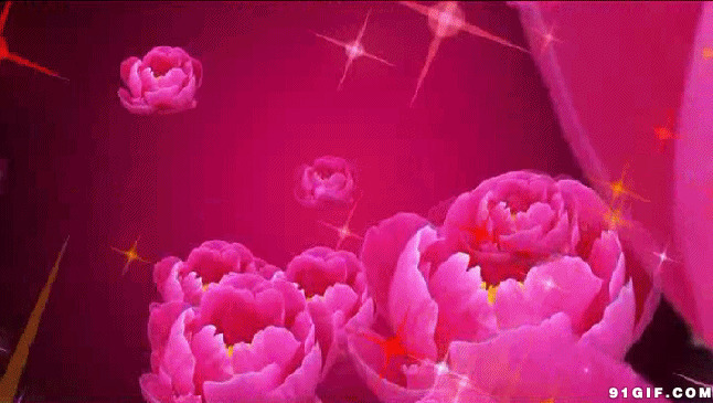 玫瑰花背景图片素材图片