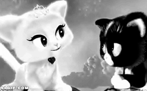 黑猫白猫图片:卡通,小猫,