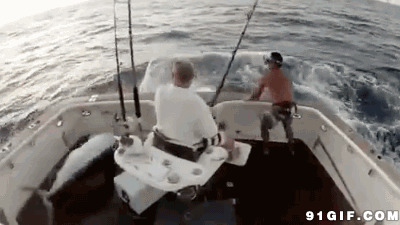 日本抓鲸鱼图片
