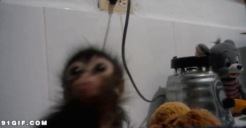 小猴子吃东西图片