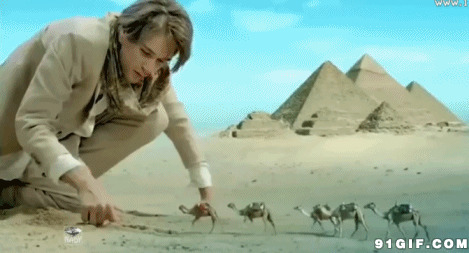 沙漠中的骆驼图片:沙漠,骆驼