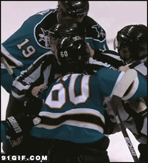 冰球运动员打架事件图片