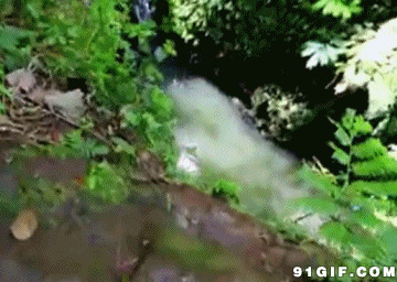世界上悬崖跳水图片:悬崖,跳水