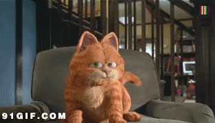 加菲猫动态头像图片