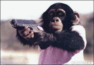 猩猩开枪视频图片