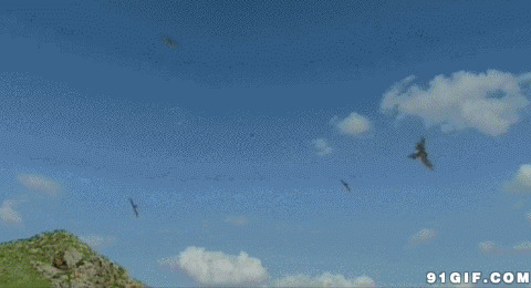 弓箭射鸟视频图片:弓箭,射鸟