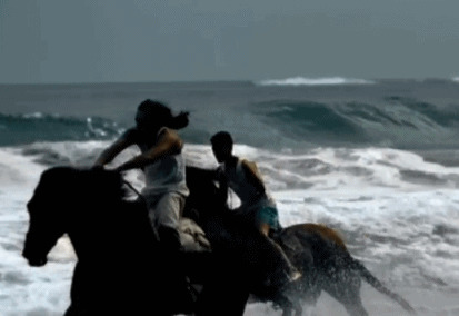 海边骑马唯美视频图片